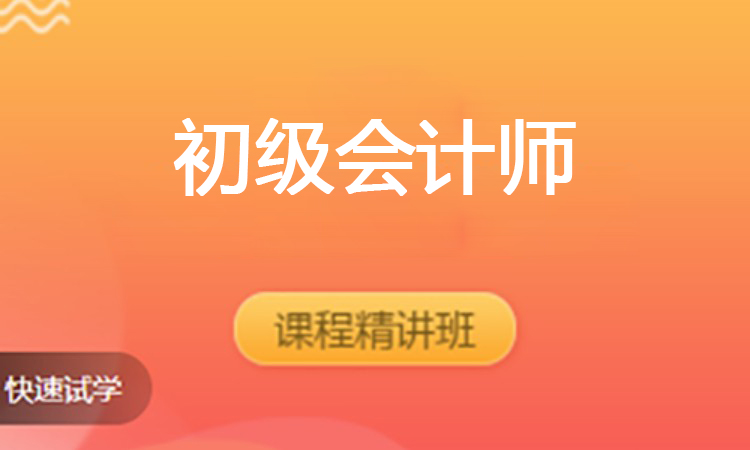 初级会计师（2025）